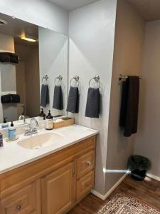 The Dandelion SV-Wish. B&B, Reimagined