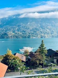 Whole traditional swiss Chalet - Alps & Lake Retreat