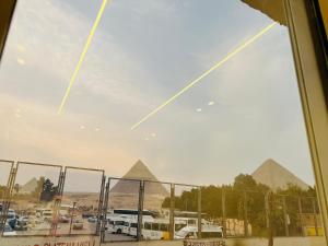 Alivia Scarab Pyramids View