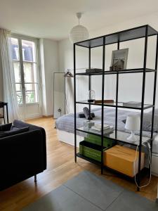 Luxury Apartment in Central Geneva