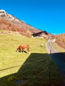 Lake & Mountain Retreat - Lake Brienz & Interlaken