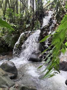 Cabaña Con Jacuzzi en Combia Alta Pereira
