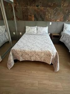 Casa Manuel M Dieguez, Tekilan