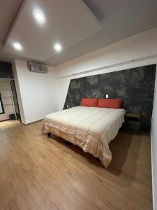 Casa Manuel M Dieguez, Tekilan