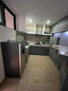 Casa Manuel M Dieguez, Tekilan