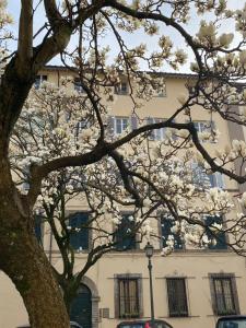 Maison Deco - Timeless elegance