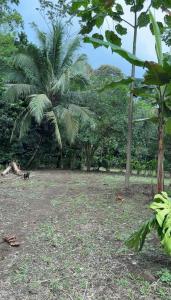 Camping Los Búfalos