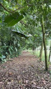 Camping Los Búfalos