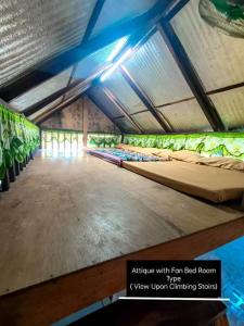 Phielle In-Home Calayo House Rental