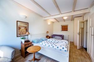 Comfortable holiday villa with terrace and garden