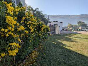 The Rose Bagh Resort Pushkar
