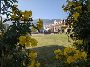 The Rose Bagh Resort Pushkar