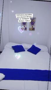 BISONT CASA BRAVRA Eco hotel y Pool