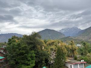 Hotel Aasra Paradise dharamshala