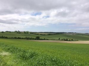 B&B / Chambres d'hotes Tess Cottage : photos des chambres