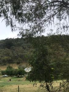 The Loft at Douglas Cottage