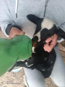 Enada Suite & Olive Farm