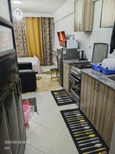 Grand midtown apartment