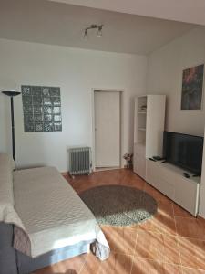 Apartments Srzic NO1