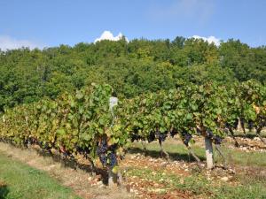 Villas A spacious and beautifully restored rural farmhouse with private pool : photos des chambres