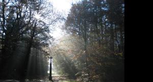 Les logis du Landron