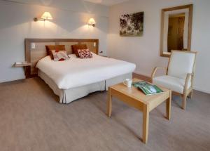 Hotels Les Ormes Domaine et Resort : Chambre Simple