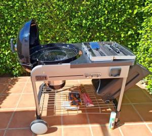 Casa Laurena, 1067, Jardin 10