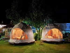 Lion Cafe Resort