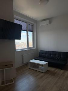 Aquamarine Bright Suit