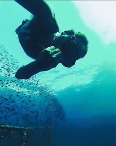 B&B Glamping Semaforo Capo Sperone img72