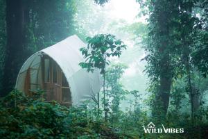 Wildvibes India