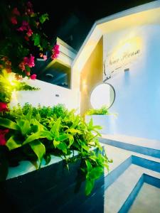 Nemo villa phú quý