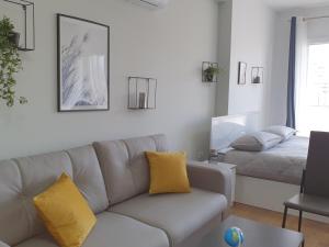 Executive Studio Medreseja AC Lift WifiTV Balcony