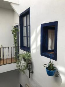 Gîte de loiseau bleu