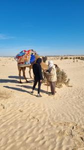 Wild Desert Camp in Sabria with Camel Trek