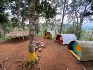 Wildvibes India