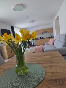 Apartamenty Zachodnia Przystań