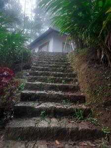 Kurinjiyil farmstay munnar