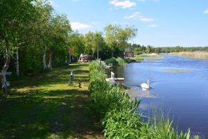 Domki Liliowa Zatoka