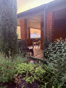 Spacious 4-Bed Home in Central Tenterfield