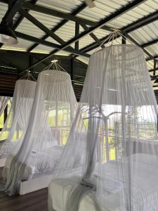 Leafty Lodge 绿叶小屋 - Mountain Top Fairy-Style Dormitory Beds at Eco Valley Retreat Balung 豐之谷