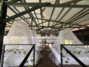 Leafty Lodge 绿叶小屋 - Mountain Top Fairy-Style Dormitory Beds at Eco Valley Retreat Balung 豐之谷