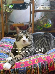 Beautiful and spacious apartment in Times Square!