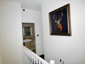 Comfortable 4BR House Ideal for Families & Workers