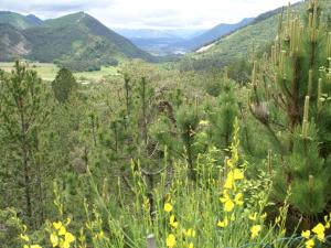 Maisons de vacances Holiday house with private swimming pool and view at the Vercors : photos des chambres