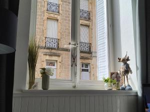 Côté Jardin la belle époque