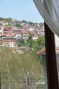 Our House In The Town