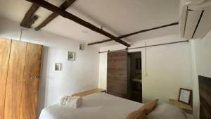 Hot Chipilin El Paredon