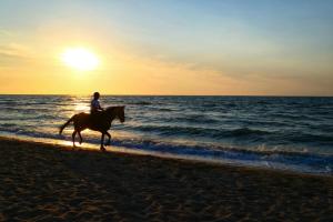 Résidence des Fleurs - Les Escapades Cosy - 1 à 4 personnes