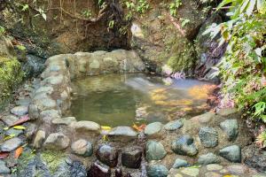 Casa Aire Libre - Jungle immersion - Natural pool - Waterfall